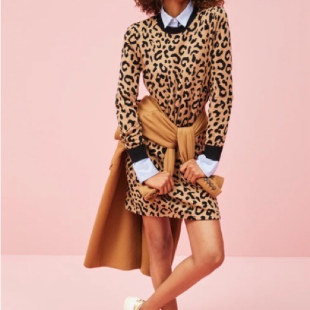 J.Crew Leopard Print Long Sleeve Dress